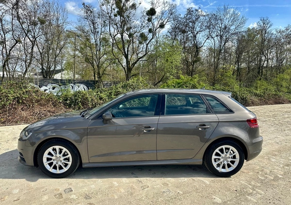 Audi A3 cena 34800 przebieg: 300000, rok produkcji 2014 z Wrocław małe 704